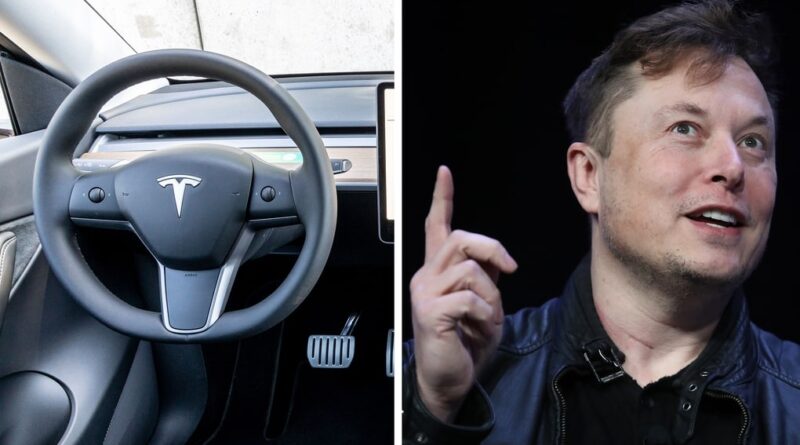 Experter sågar Elon Musks plan: Högsta nivån av självkörning är inte uppnåbar