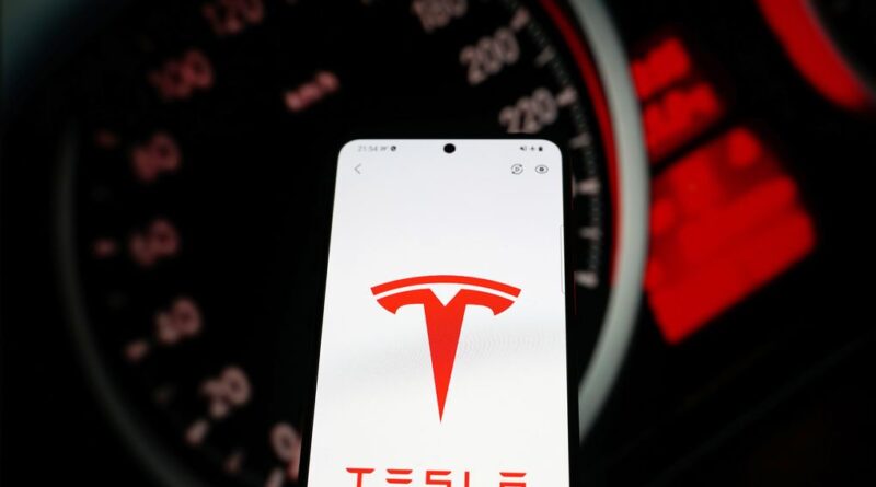 Tesla inför ny självdiagnosfunktion i appen
