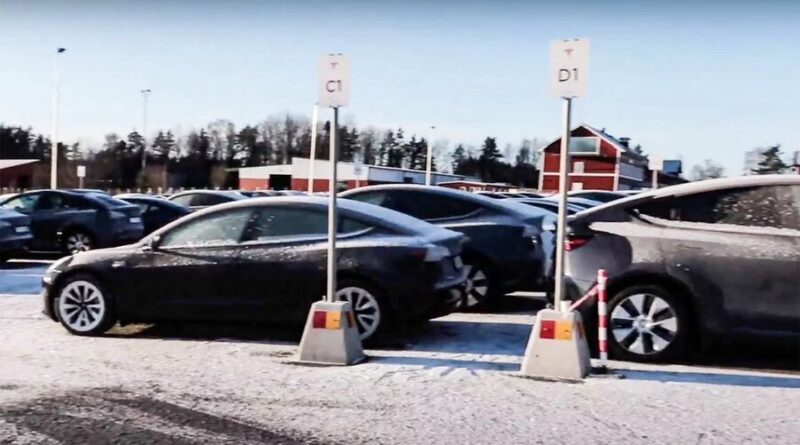Efter chocksänkningen – så mycket säljer Tesla i Sverige