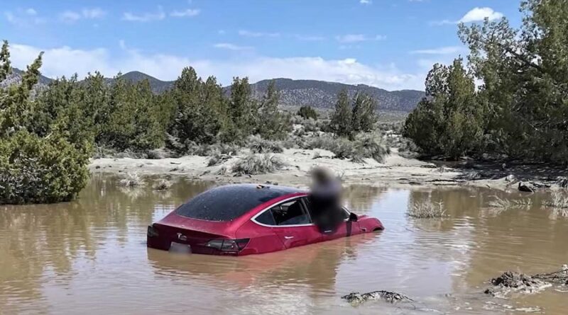 Bilen drog rakt ut i vattnet – stämmer Tesla