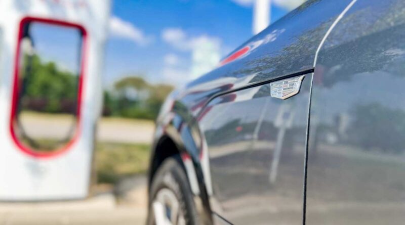 Elon Musk: ”Tesla gör sitt för att rädda andra biltillverkare”