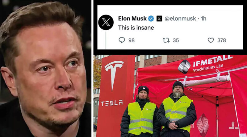 Elon Musks ord om strejken: ”Det här är galet”